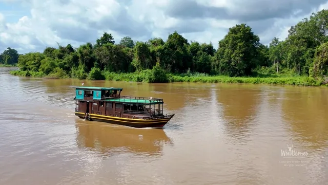 Katingan River and Sebangau National Park Cruise