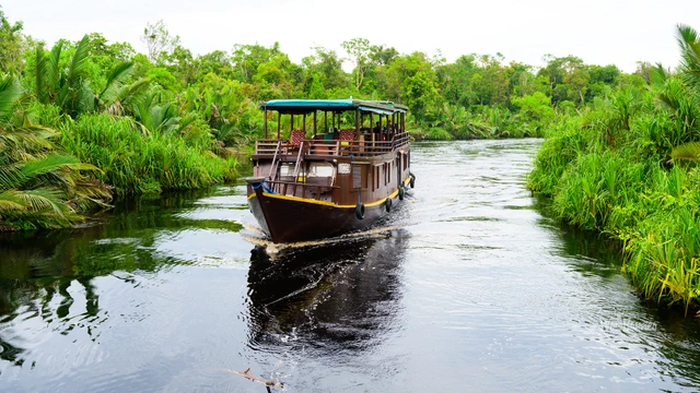 Sekonyer River & Tanjung Puting National Park